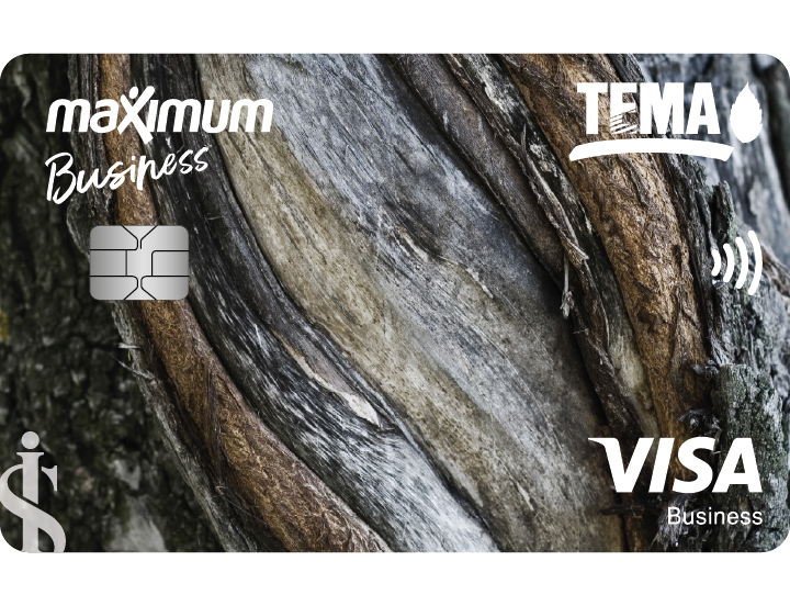 Maximum TEMA Şirket Kredi Kartı